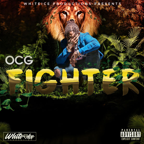 OCG - Fighter (2018) Single