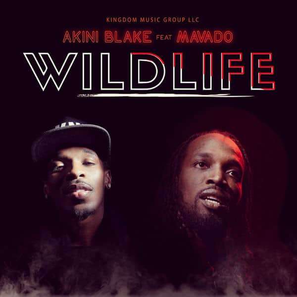 Akini Blake feat. Mavado - Wild Life (2018) Single