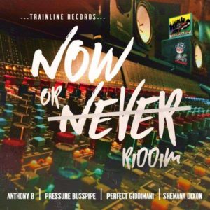 Now or Never Riddim [Trainline Records] (2018)
