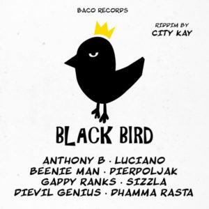 Black Bird Riddim [City Kay] (2019)