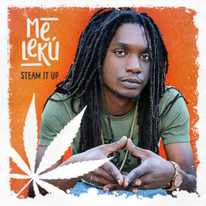 Melekú - Steam It Up (2019) Single