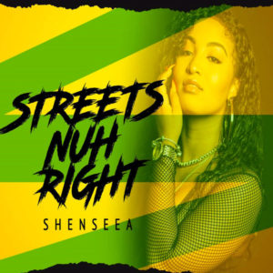 Shenseea - Streets Nuh Right (2019) Single
