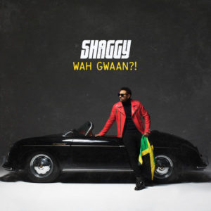 Shaggy - Wah Gwaan?! (2019) Album