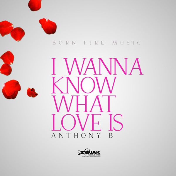 Anthony B - I Wanna Know What Love Is (2019) Single