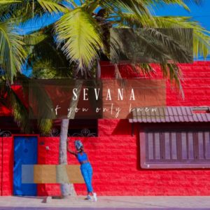 Sevana - If You Only Knew (2020) Single
