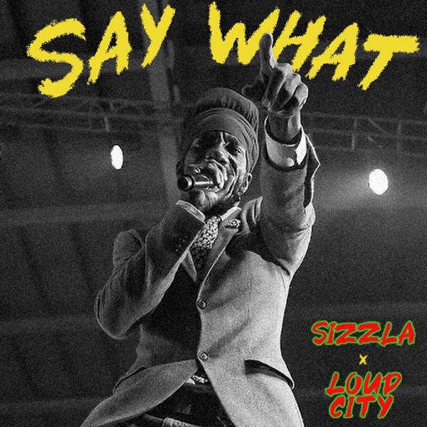Sizzla - Say What (2021) Single