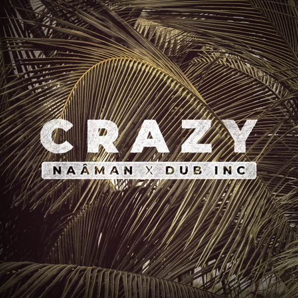 Naâman x Dub Inc - Crazy (2021) Single