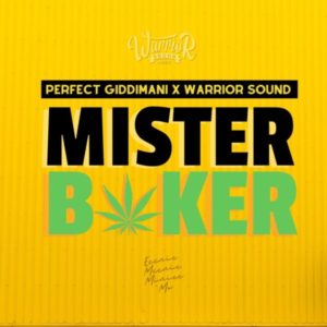 Perfect Giddimani - Mr Baker (2022) Single