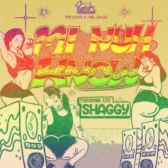 Shaggy - Mi Nuh Know (2022) Single