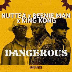 Beenie Man, King Kong, Nuttea & Irie Ites - Dangerous (2022) Single