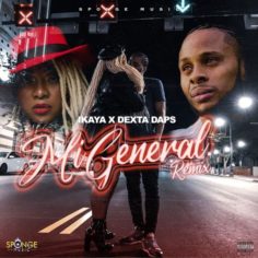 Ikaya x Dexta Daps - Mi General [Remix] (2022) Single