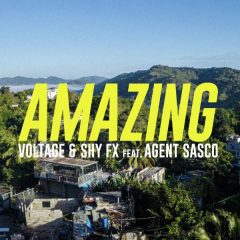 Voltage x Shy FX x Agent Sasco - Amazing (2022) Single